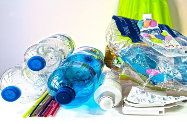 Mantar Miselyumu Plastiğin Yerine Geçiyor