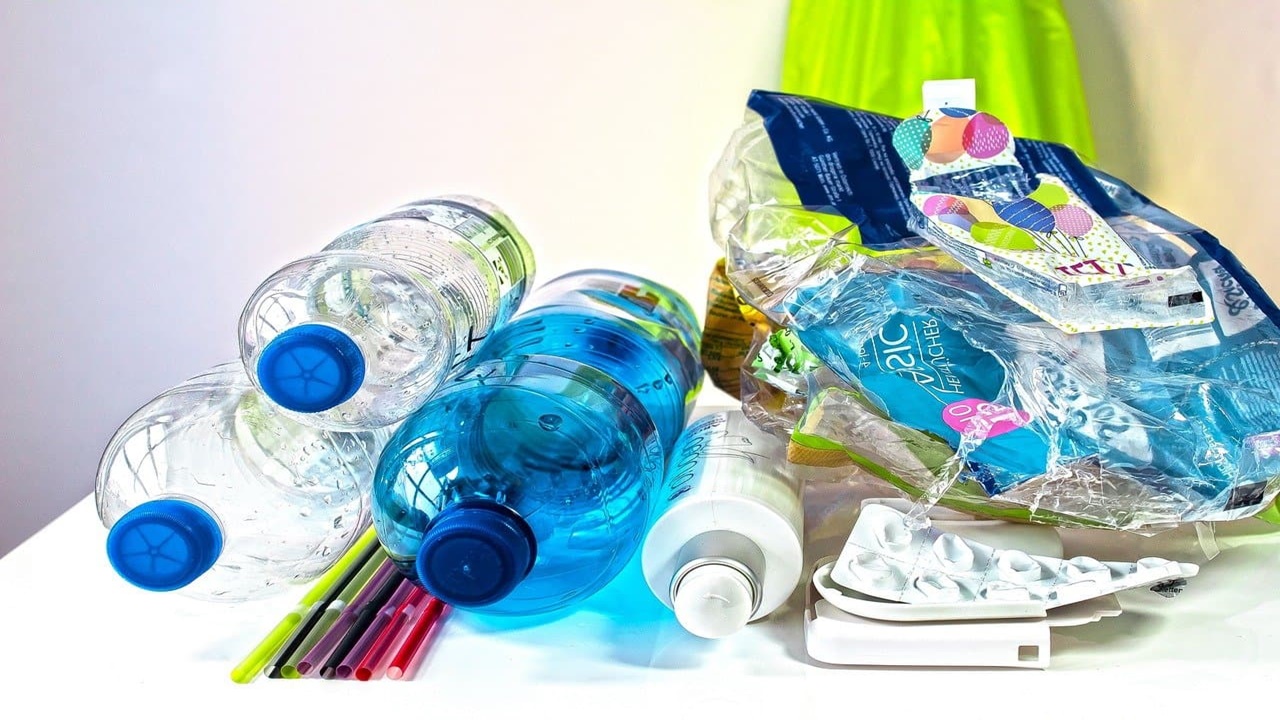 mantar miselyumu plastiğin yerine geçiyor