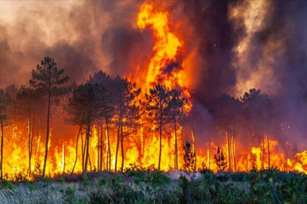 Meteorolojiden Yangın Uyarısı Geldi
