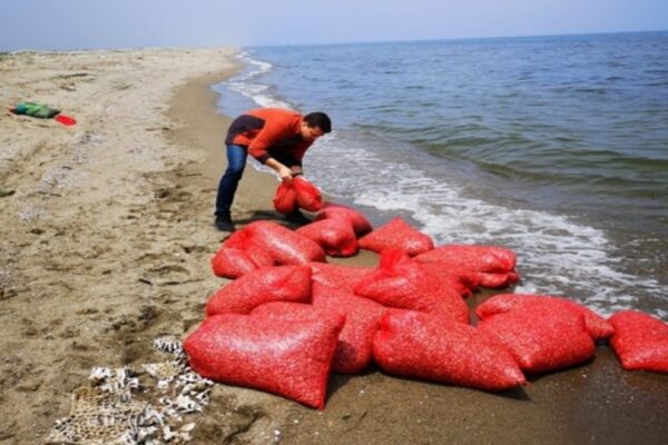 Mudanya’da 5,5 Ton Yasak Alan Kum Şırlanı Ele Geçirildi!