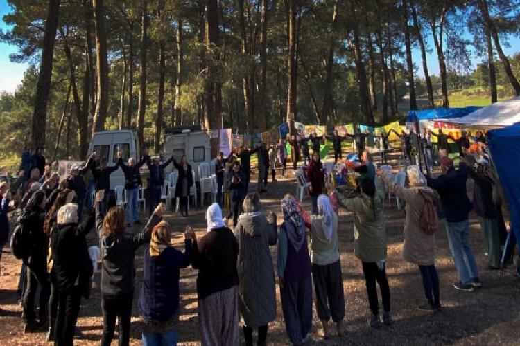 muğlada akbelen ormanı için ortak sivil davet