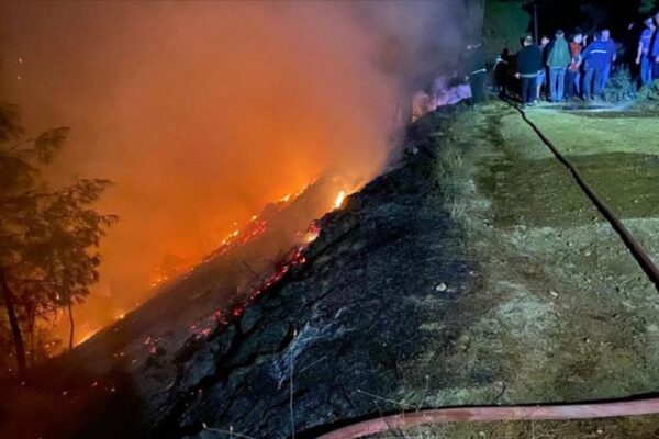 Muğla’da Son Dakika Orman Yangını