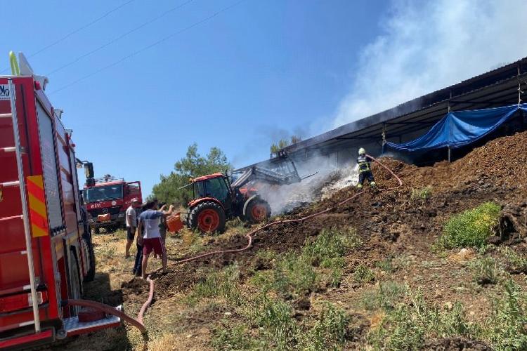 muğlada yangından etkilenen hayvanlara müdahale
