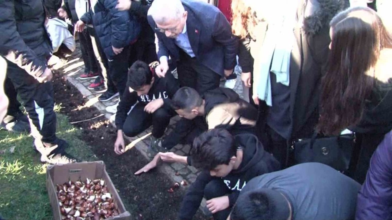 nakkaştepe millet bahçesine lale soğanları ekildi
