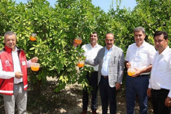 Narenciyede kalıntı sorunu kalmayacak