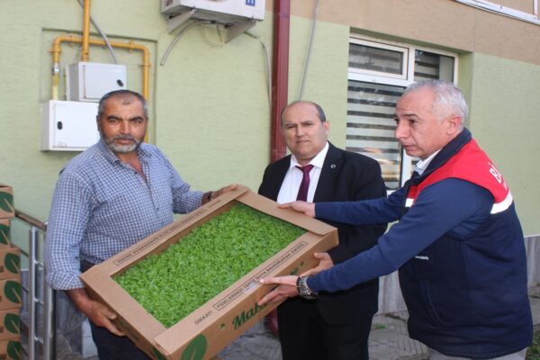 Osmaneli’de çiftçilere 10 bin 500 marul fidesi dağıtıldı