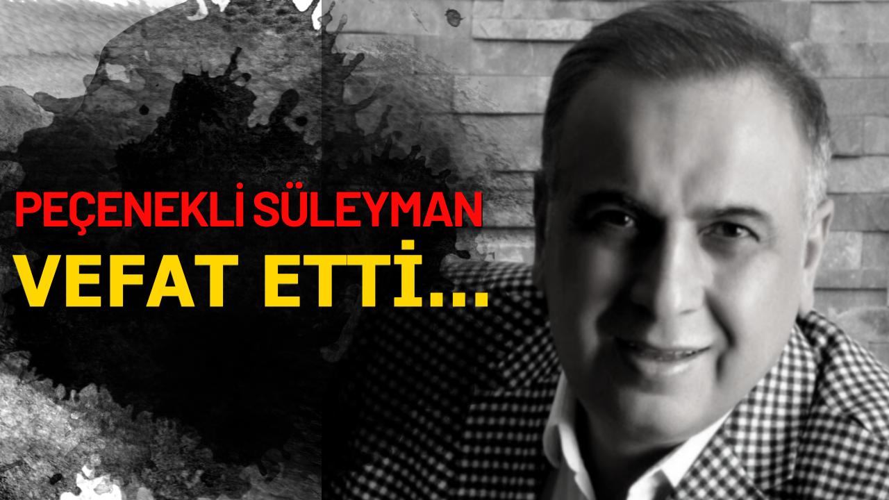 peçenekli süleyman kimdir neden Öldü