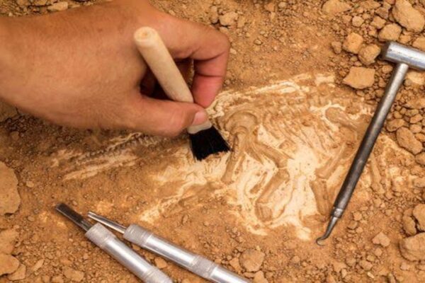 Roma Döneminden Kalma 1800 Yıllık Mermer Stel Bulundu