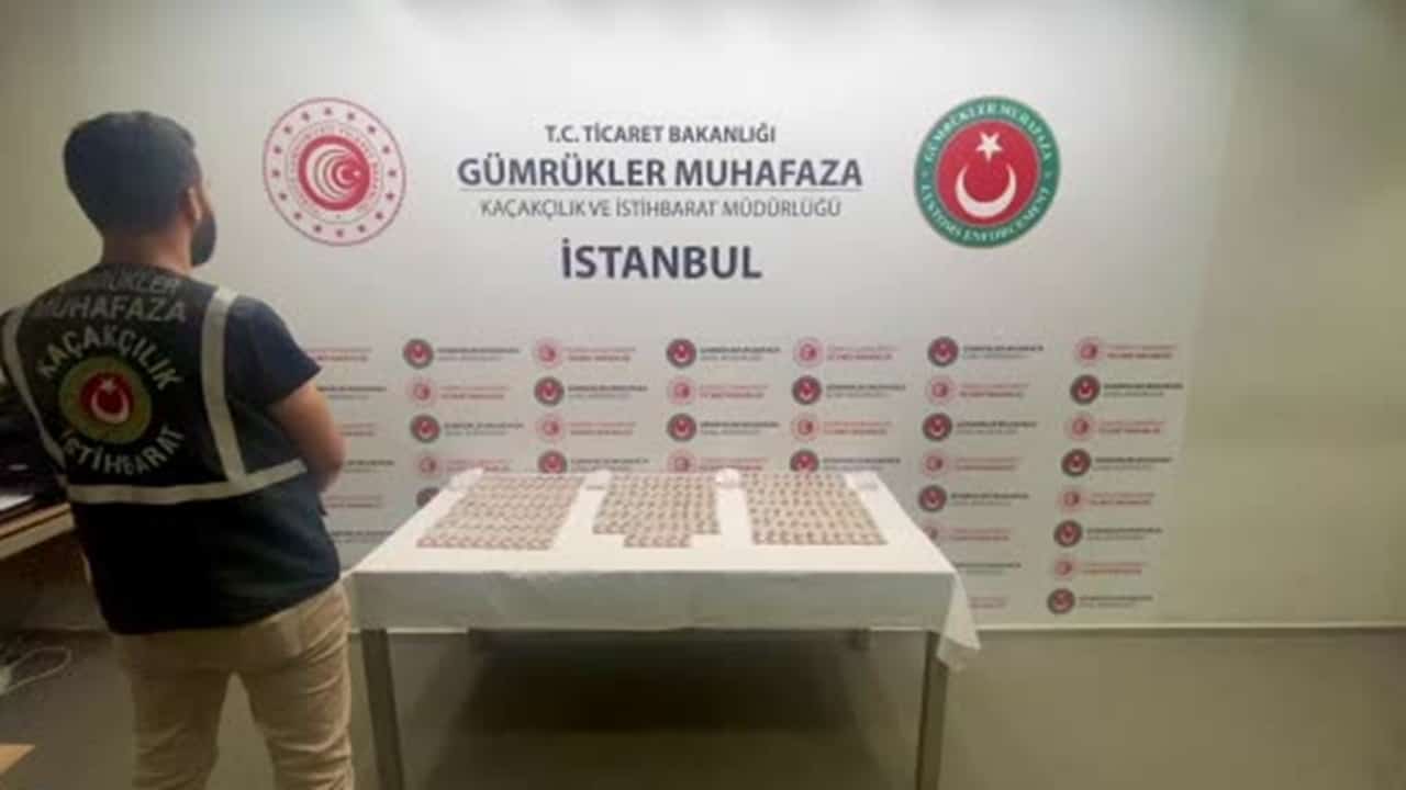 Sabiha Gökçen Havalimanında Bin 240 Canlı Arı Yakalandı