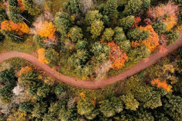 Sakarya’nın Doğal Güzelliği Çam Dağı’nda Sonbaharın Büyüsü