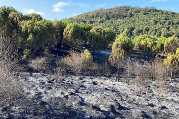 Sancaktepe’de Çıkan Yangın Kontrol Altına Alındı
