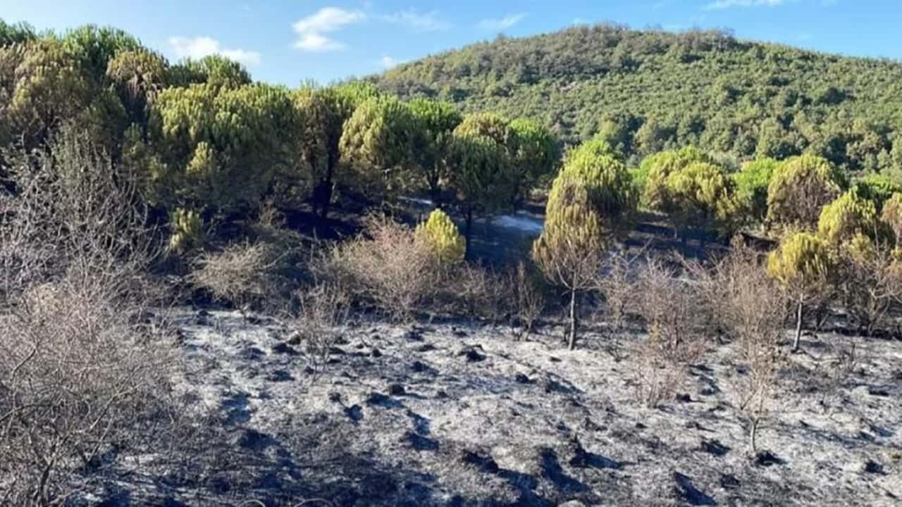 sancaktepede Çıkan yangın kontrol altına alındı