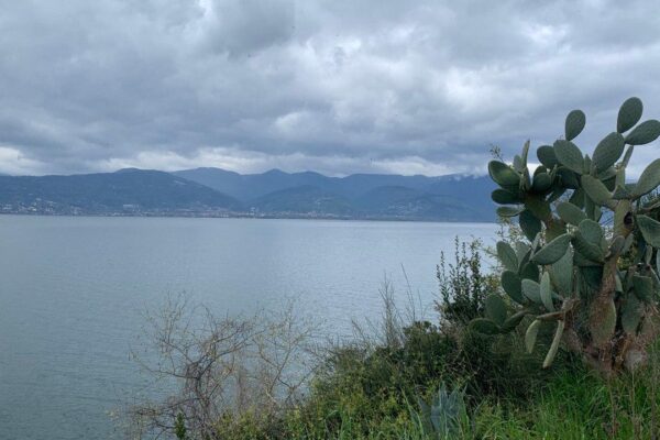 Sapanca Gölü’ndeki Su Seviyesi Maksimum Seviyeye Yaklaştı