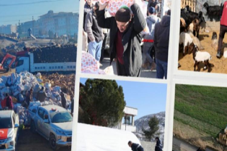 sarsıntı bölgesindeki çiftçilere dev takviye