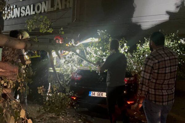 Şiddetli Rüzgar Nedeniyle Kırılan Ağaç Dalı Bir Otomobilde Hasara Neden Oldu