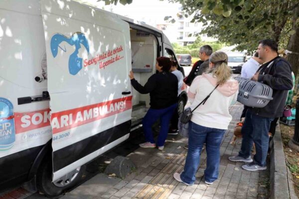 Sokak Hayvanlarına Özel Ambulans Hizmeti