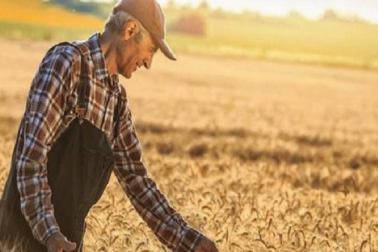 tarım-gfe yıllık yüzde 3322 arttı