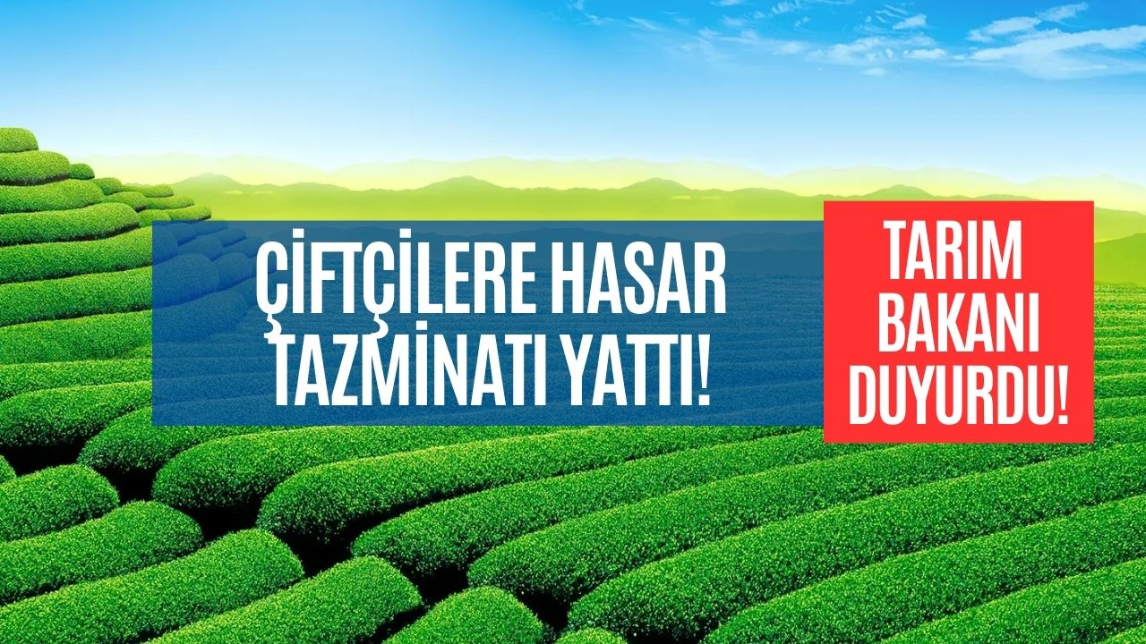 tarımsal destek parası yattı tckn sonu 02468 olanlara 11 milyar liralık Ödeme yapıldı