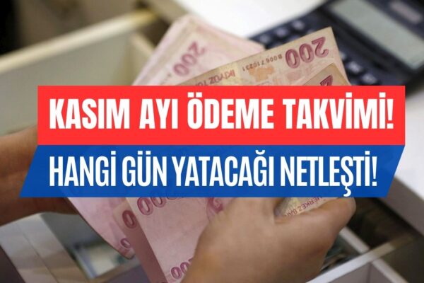 TCKN 0 ve 5 ile Bitenler O Tarihte Alacak! Engelli Maaşı Kasım Ayı Ödeme Takvimi Netleşti