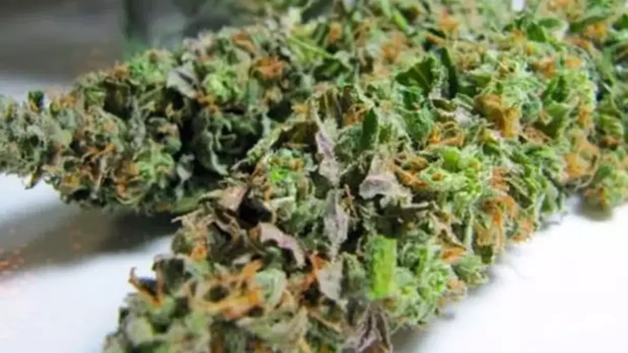 tekirdağda bir otomobilde 730 gram skunk bulundu