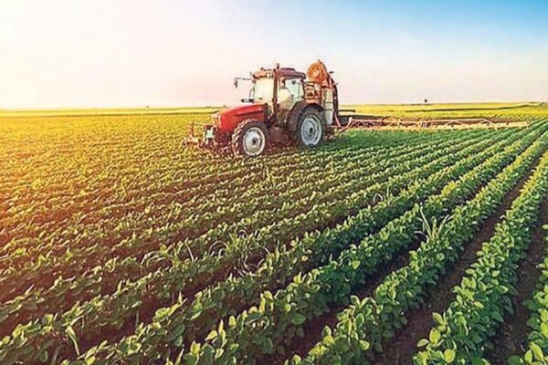 Tekirdağ’da Tarımsal Üretim Stratejisi İçin Toplantı Düzenlendi