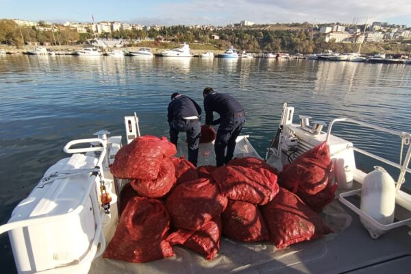 Tekirdağ’da Yasak Midye Operasyonu: 1 Ton 500 Kilogram El Konuldu