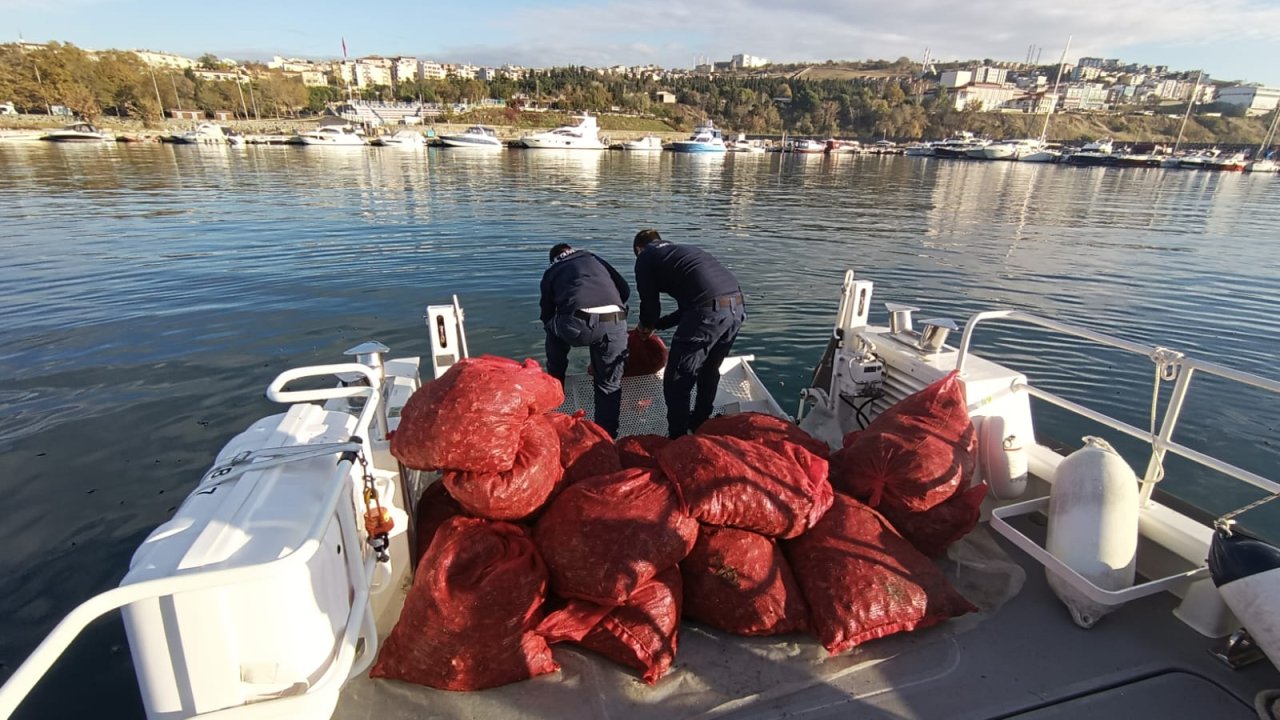 tekirdağda yasak midye operasyonu 1 ton 500 kilogram el konuldu
