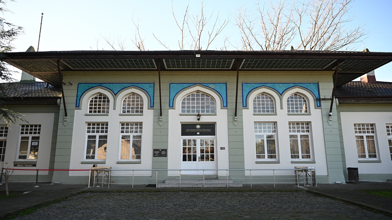 trakya Üniversitesi doğa tarihi müzesi Öğrencilere derslik de oluyor