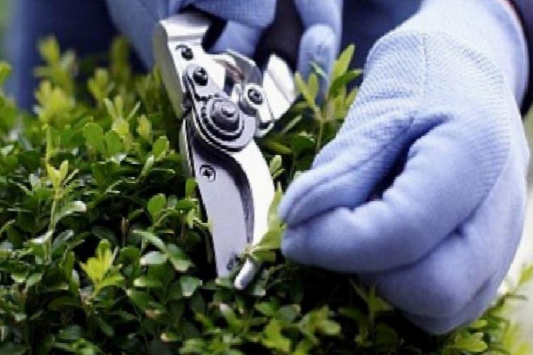 tÜİk son bilgileri açıkladı hizmet bölümünde peyzaj revaçta