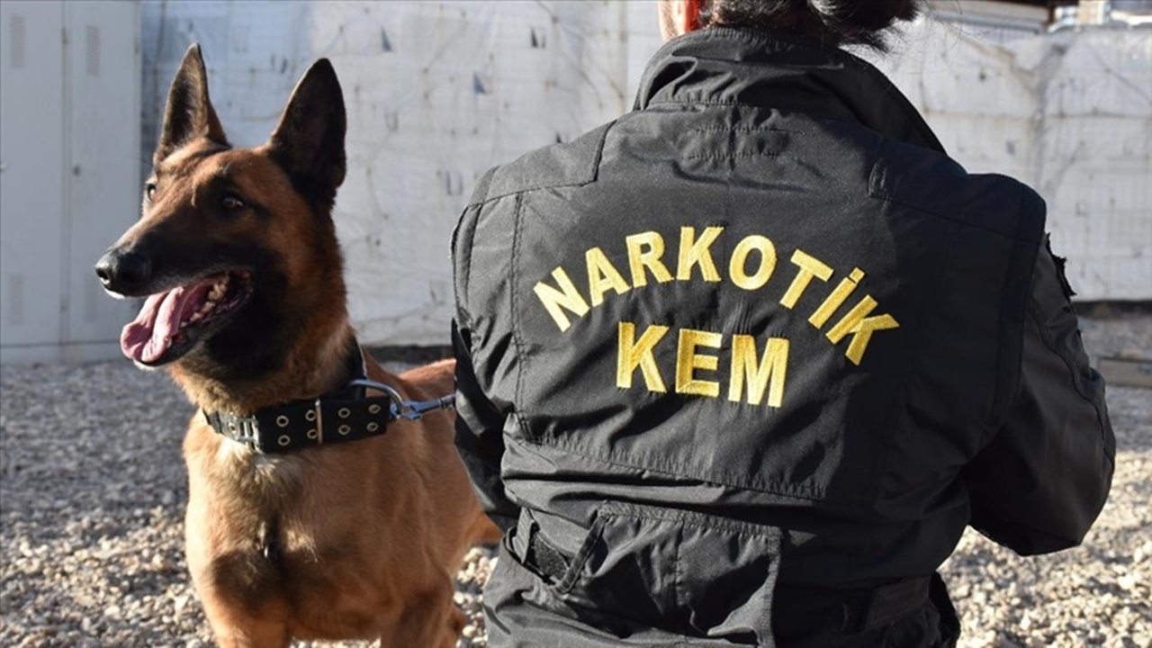uyuşturucu ticareti yapmaktan 2 Şüpheli gözaltına alındı