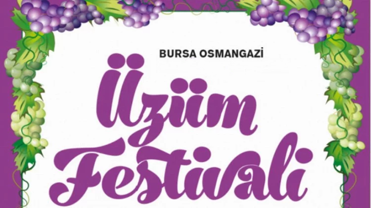 Üzüm festivali gazze saldırıları nedeniyle ertelendi