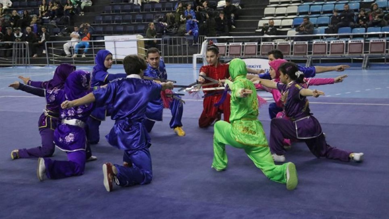 wushu kung fu geleneksel türkiye Şampiyonası sakaryada