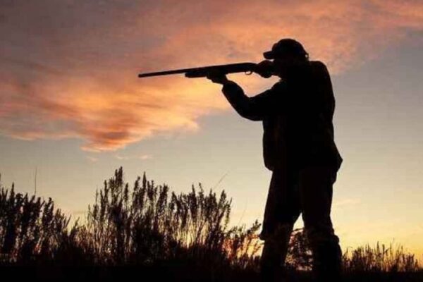 Yaban Hayatı Koruma Adına Bilecik’te Kara Avcılığı Durduruldu