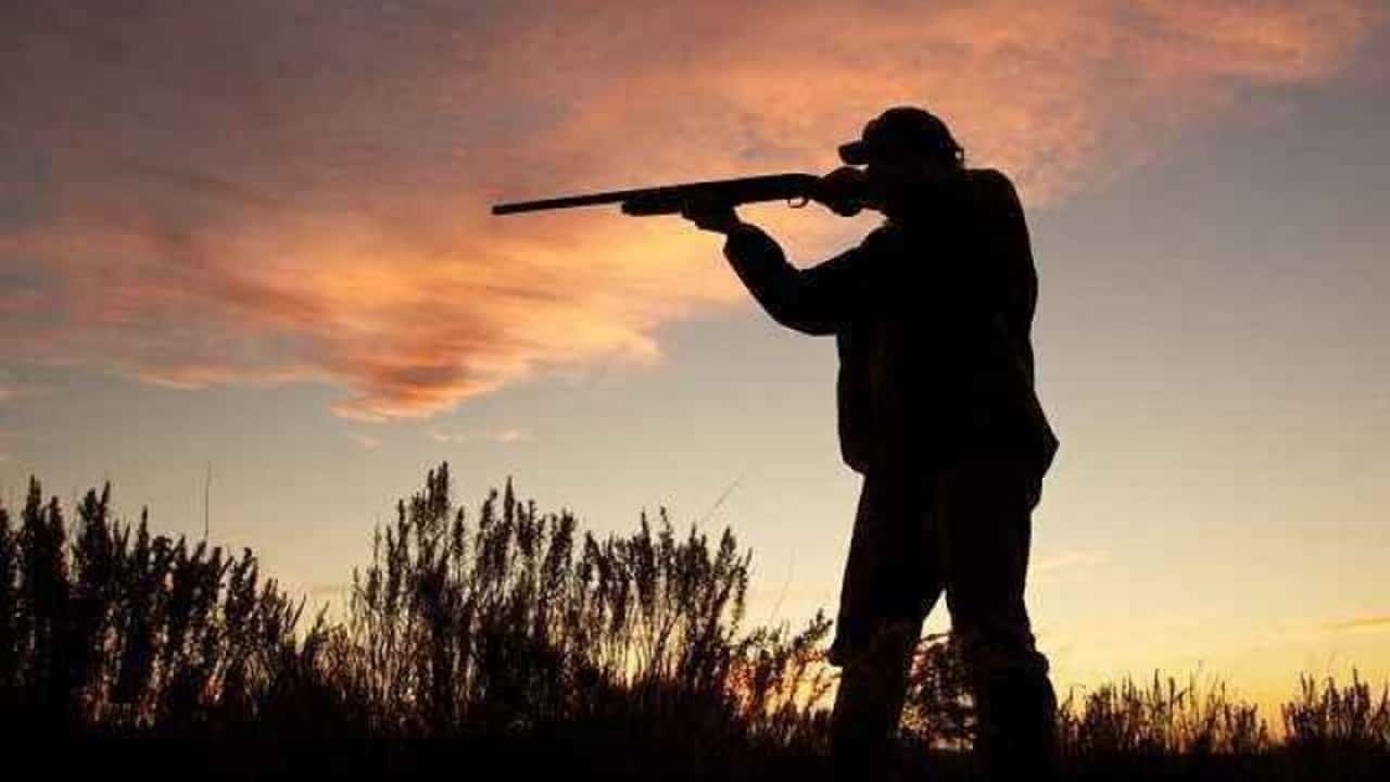 yaban hayatı koruma adına bilecikte kara avcılığı durduruldu