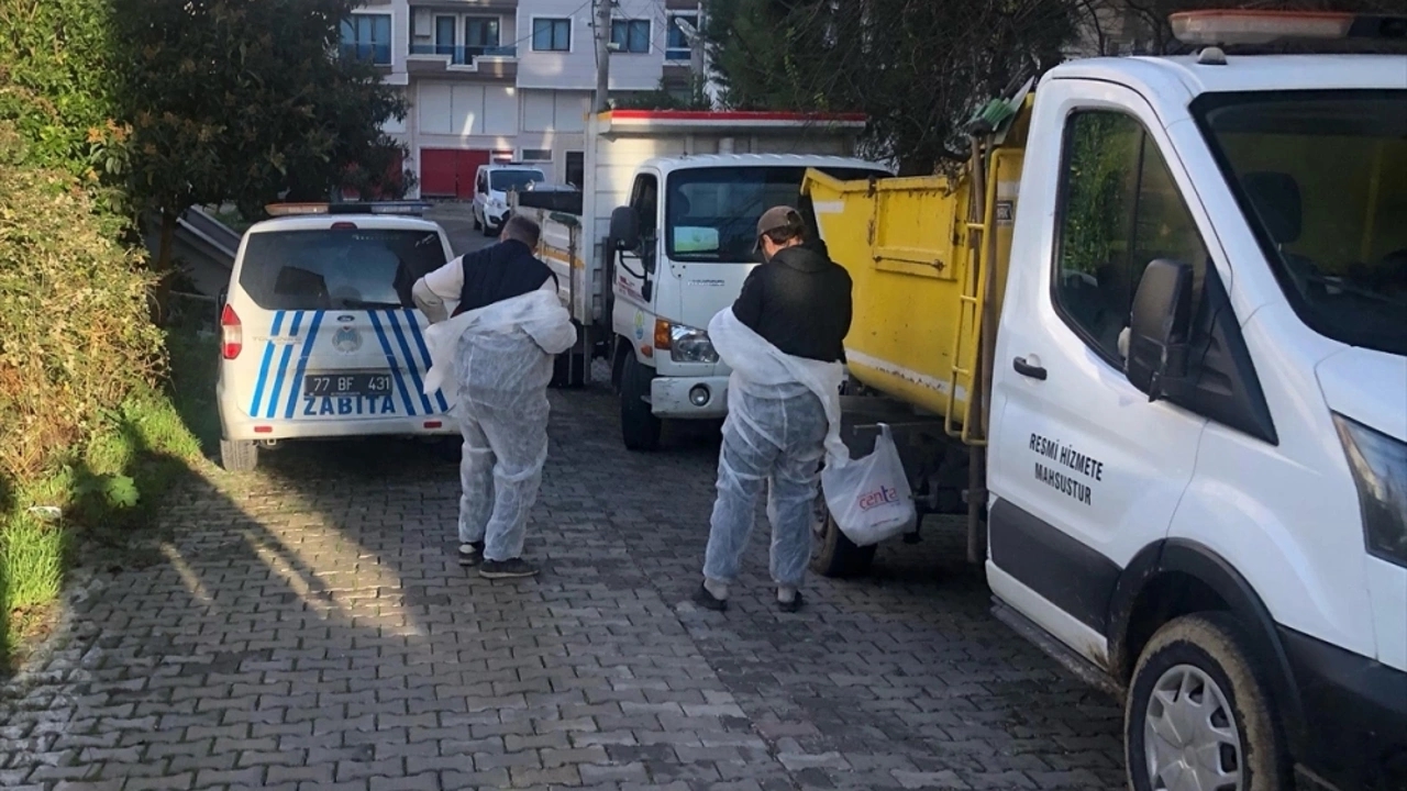 yalovada bir evden 2 ton Çöp Çıkartıldı