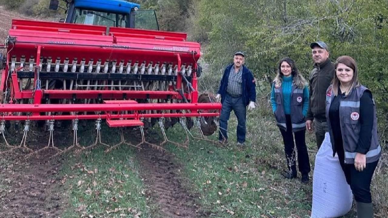 yerli buğday tohum Çeşitleri toprakla buluşturuldu