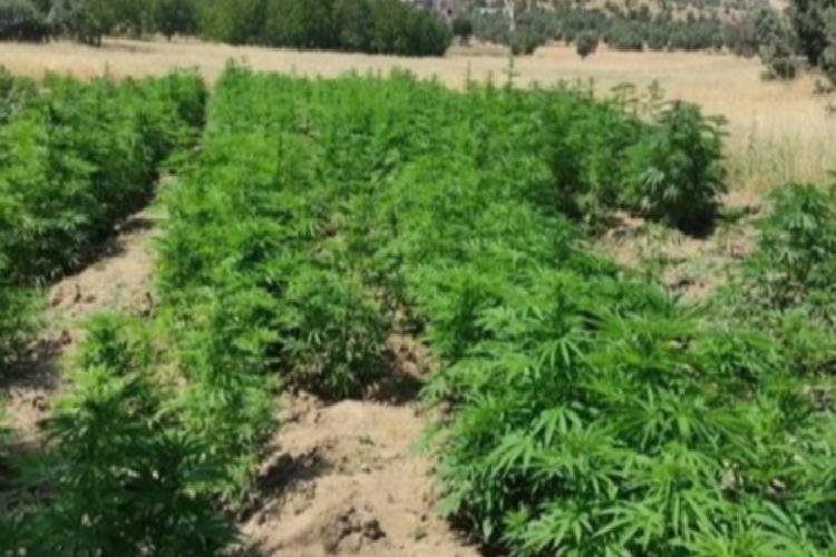 yılın en yüksek narkoterör operasyonu terör örgütüne narkoterör darbesi