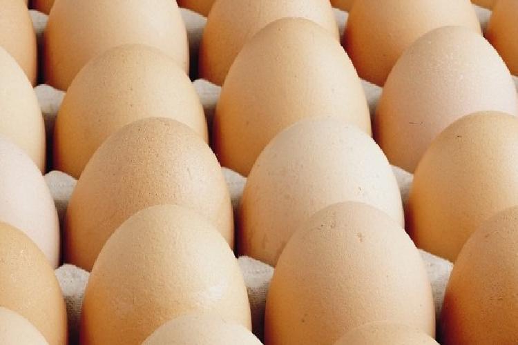 yumurtacılardan yasak isyanı