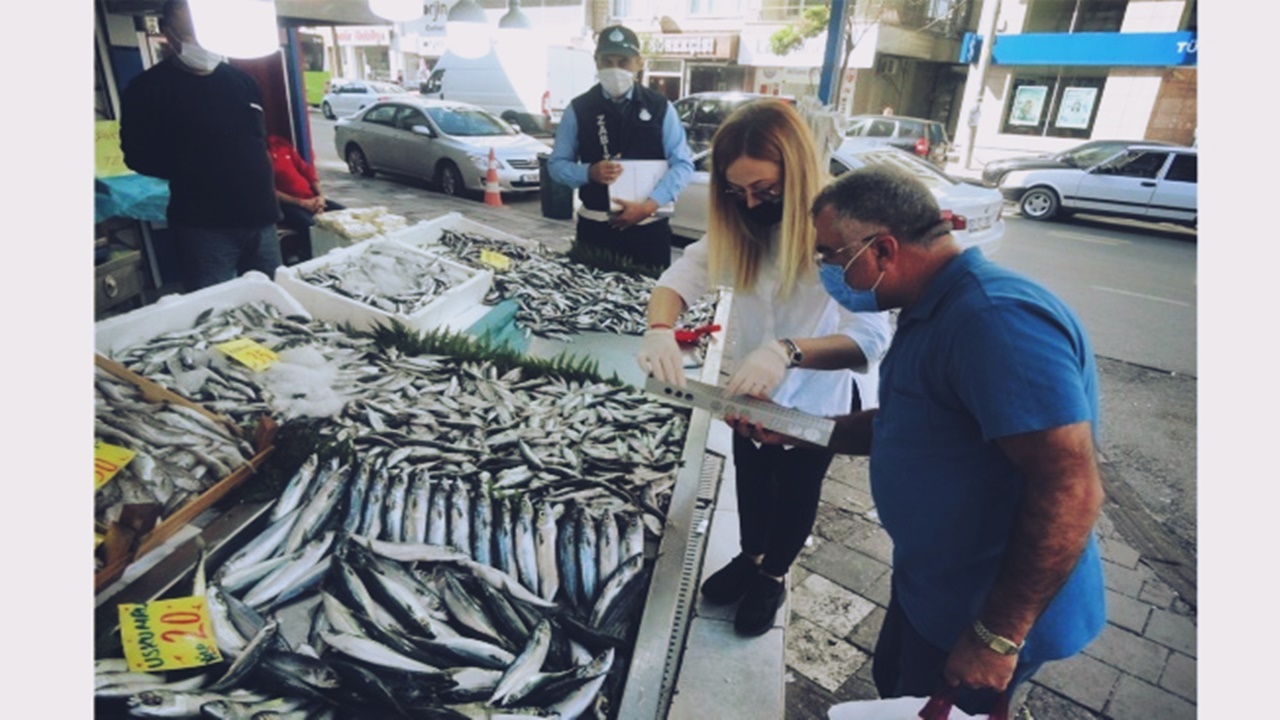 zabıta ekipleri balık tezgahlarını denetledi
