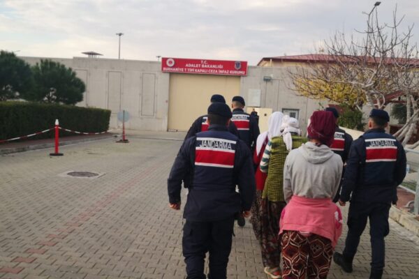 Zeytin Çalan 3 Kişi Tutuklandı