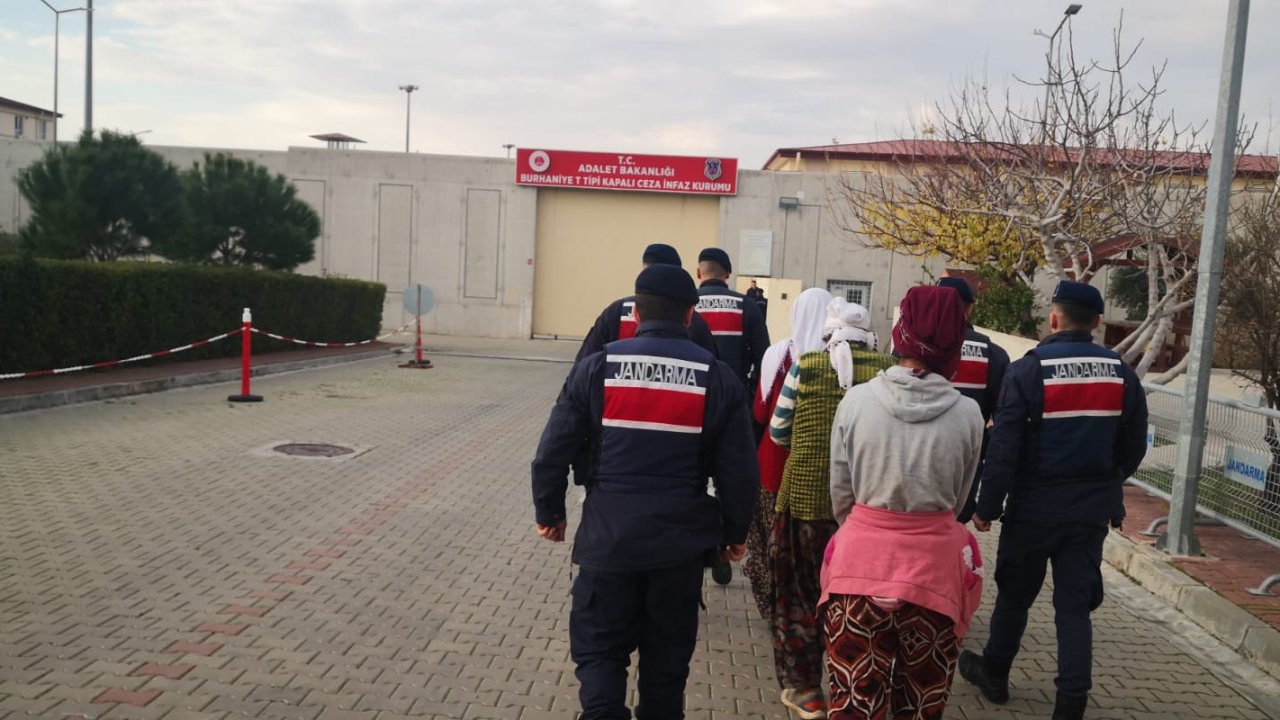 Zeytin Çalan 3 Kişi Tutuklandı