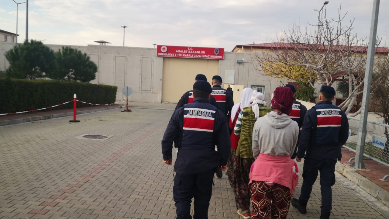 zeytin Çalan 3 kişi tutuklandı