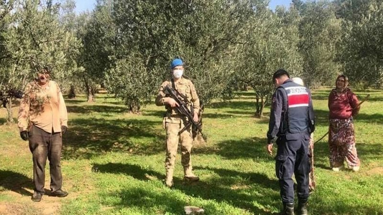 zeytin Çalarken yakalanan 3 kişi tutuklandı
