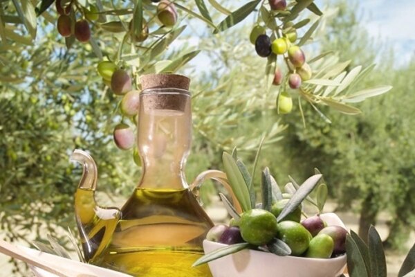 Zeytinyağı Fiyatları Uçuşa Geçti! Zeytin Yatırım Aracı Oldu