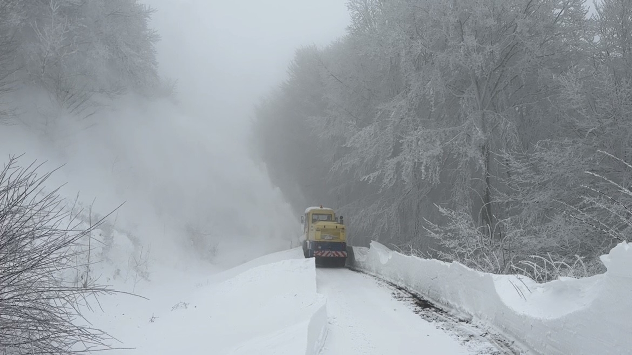 Kar Yağışı Etkisini Kaybetti: Kapalı Köy Yolları Açıldı
