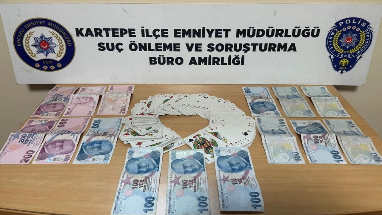 kocaeli-kumar