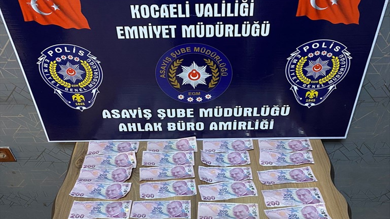 kocaeli-kumar