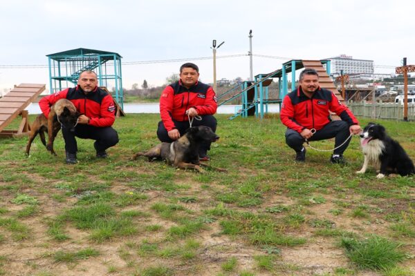 Arama Kurtarma Köpekleri “Paşa”, “Badi” ve “Diva” Olası Afetlere Hazırlanıyor