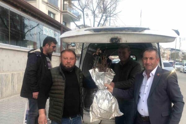 Osmaneli’de Çiftçilere 3 Bin Böğürtlen Fidesi Dağıtılacak