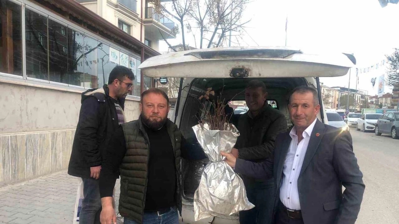 Osmaneli’de Çiftçilere 3 Bin Böğürtlen Fidesi Dağıtılacak